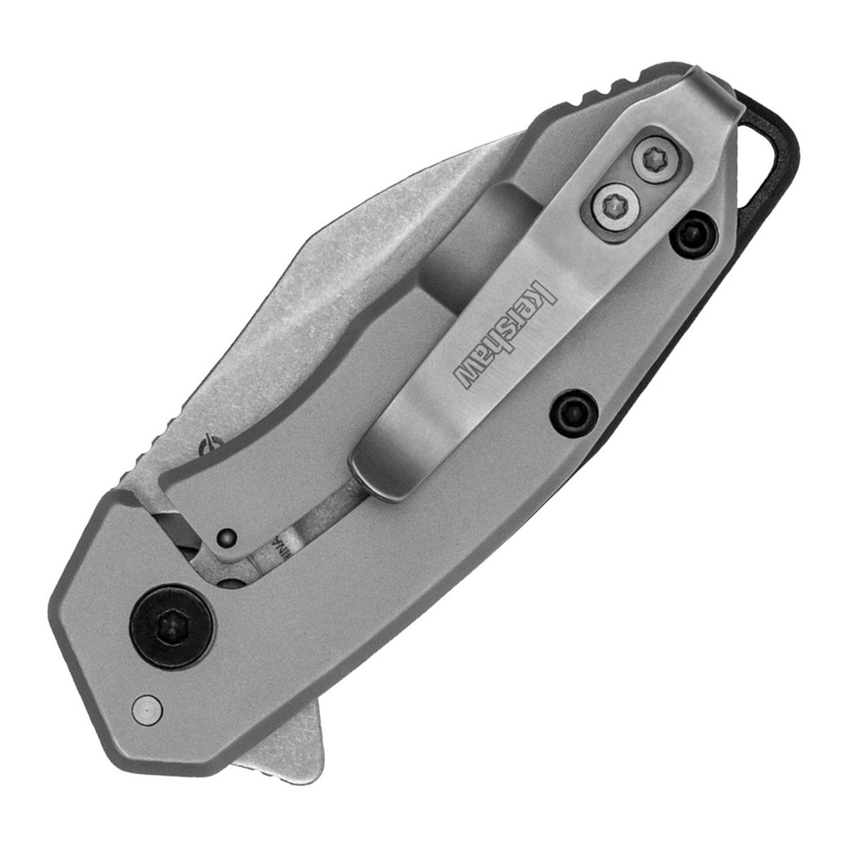 Kershaw Rate 8Cr13MoV Assisted Folding Knife - product view 2