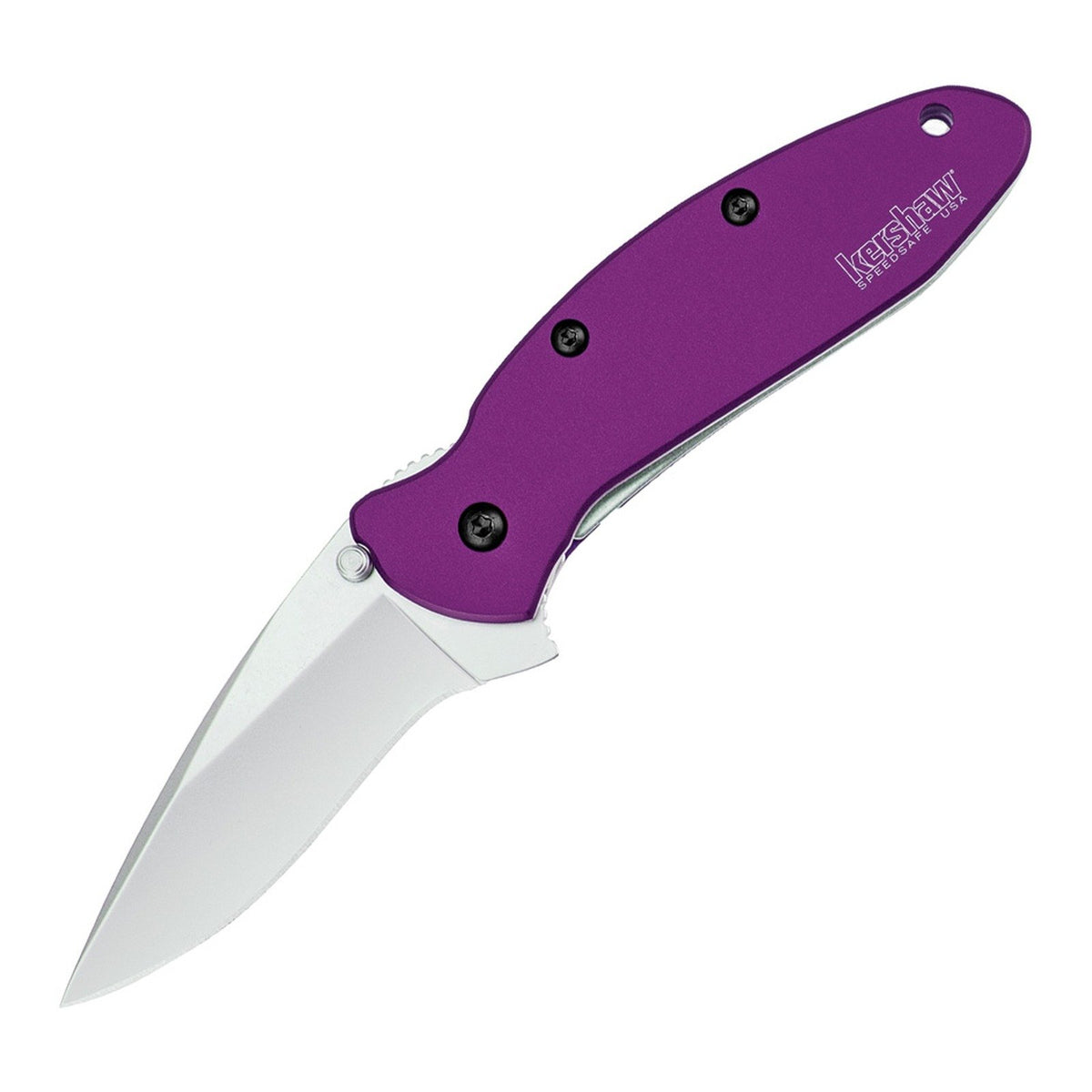 Kershaw Scallion 420HC Assisted Folding Knife - product photo