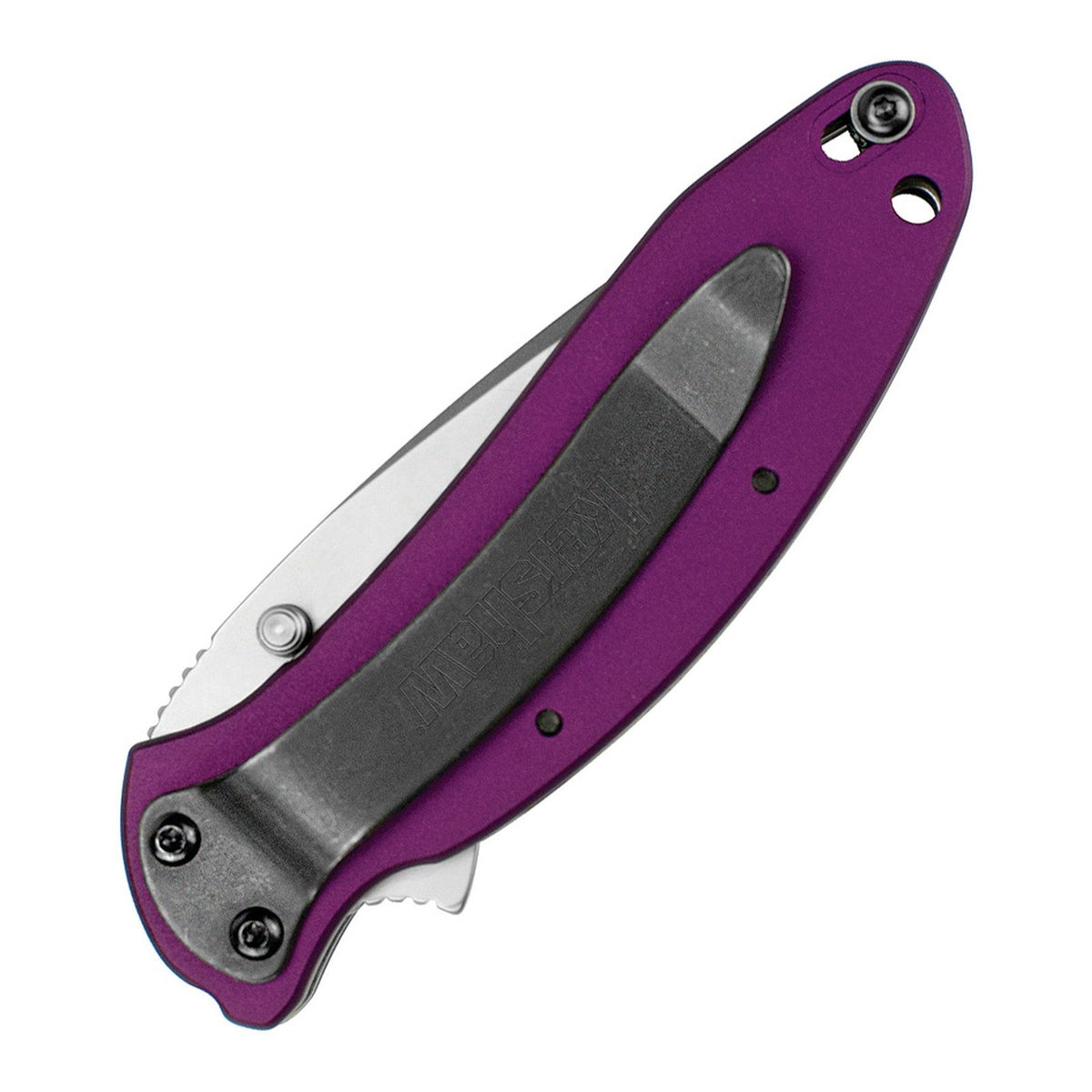Kershaw Scallion 420HC Assisted Folding Knife - product view 2
