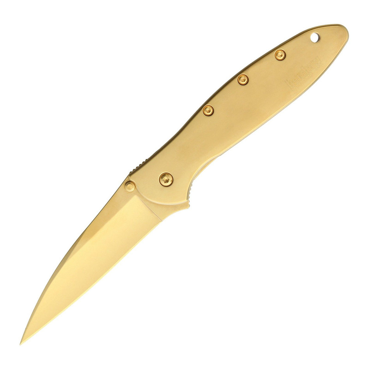 Kershaw Leek 14C28N Assisted Folding Knife - product photo
