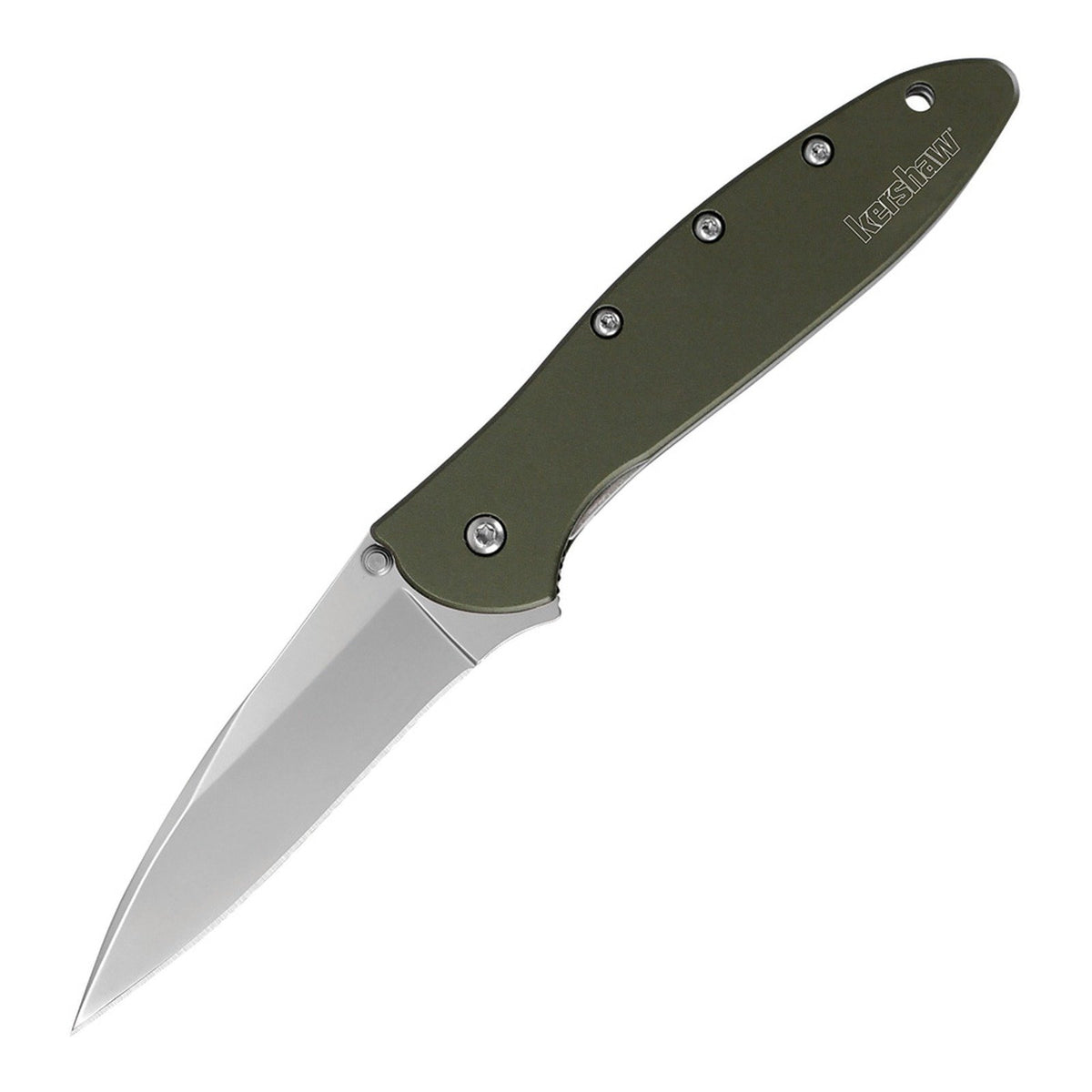 Kershaw Leek 14C28N Assisted Folding Knife - product photo