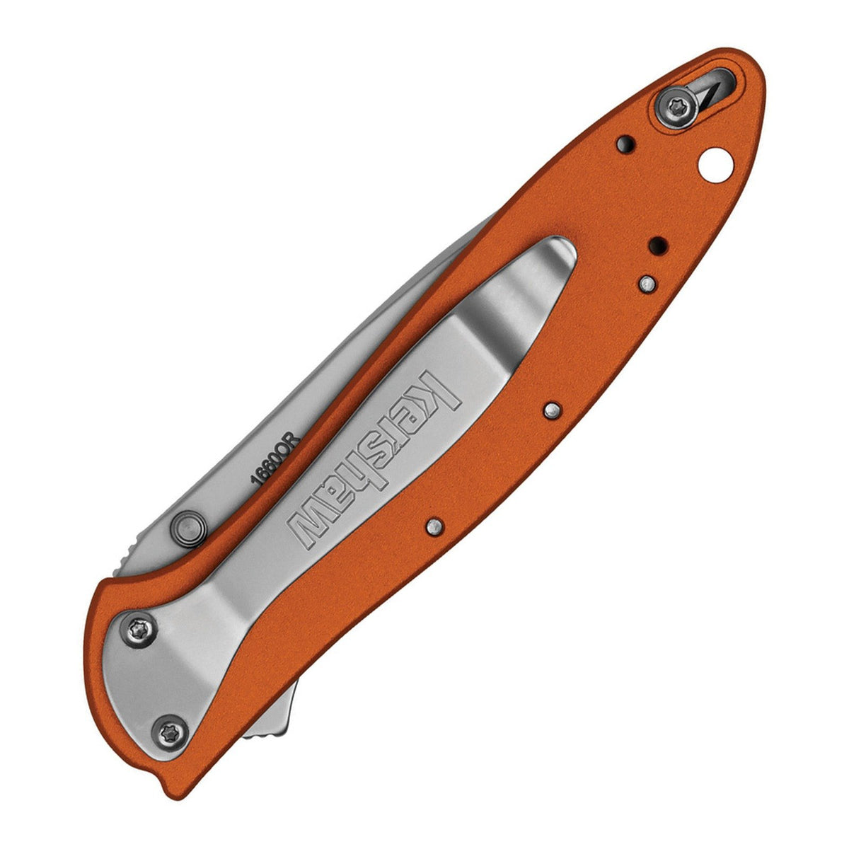 Kershaw Leek 14C28N Assisted Folding Knife - product view 2