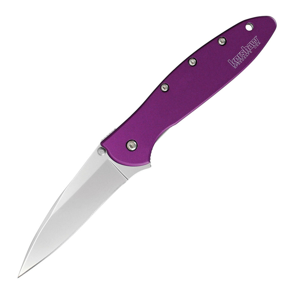Kershaw Leek 14C28N Assisted Folding Knife - product photo