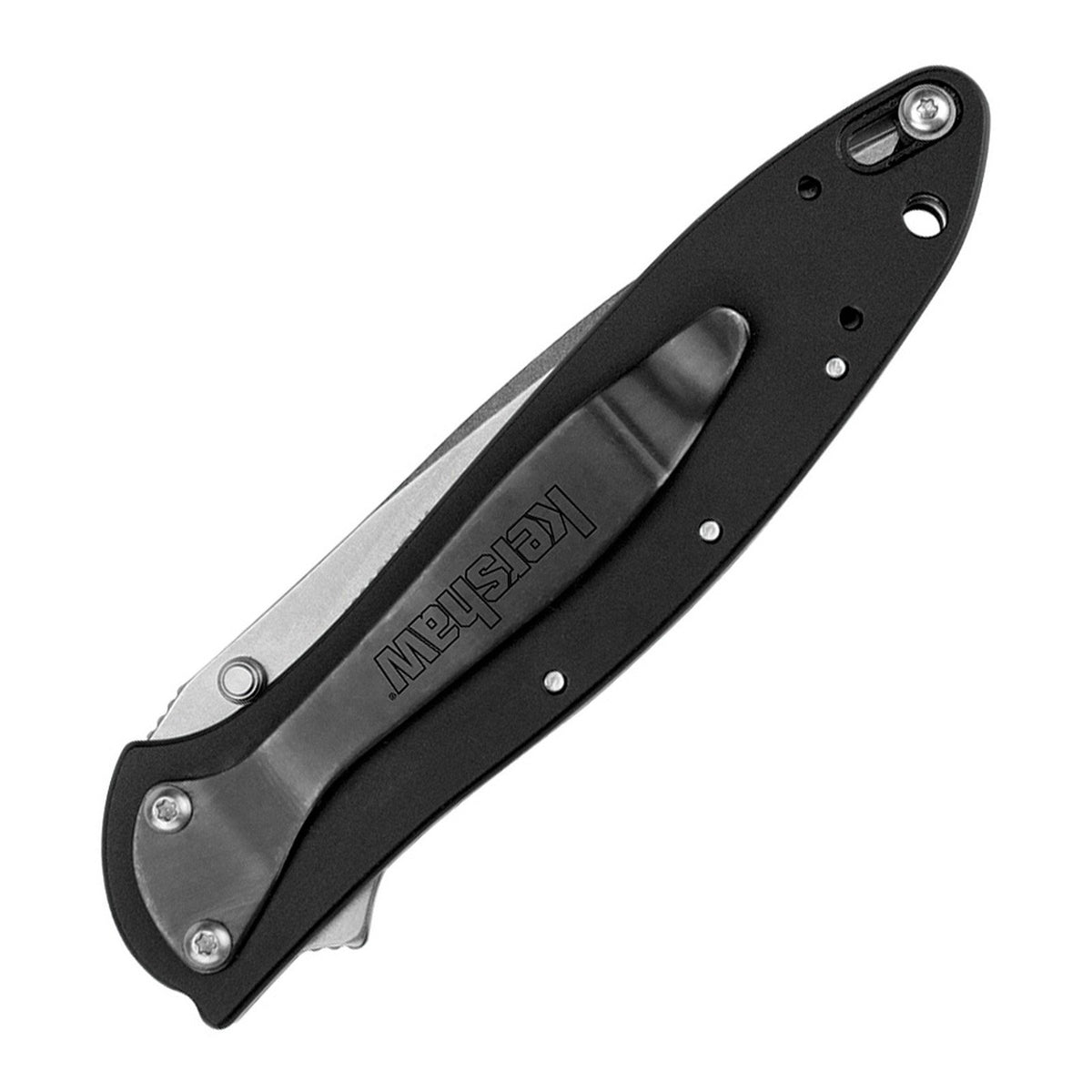 Kershaw Leek 14C28N Assisted Folding Knife - product view 2