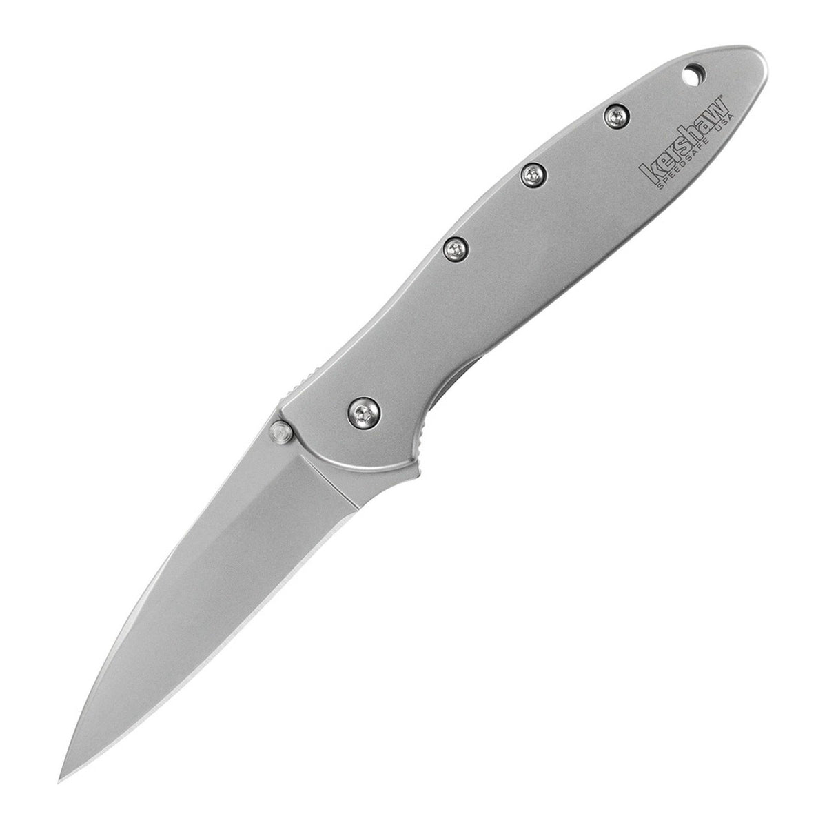 Kershaw Leek 14C28N Assisted Folding Knife - product photo
