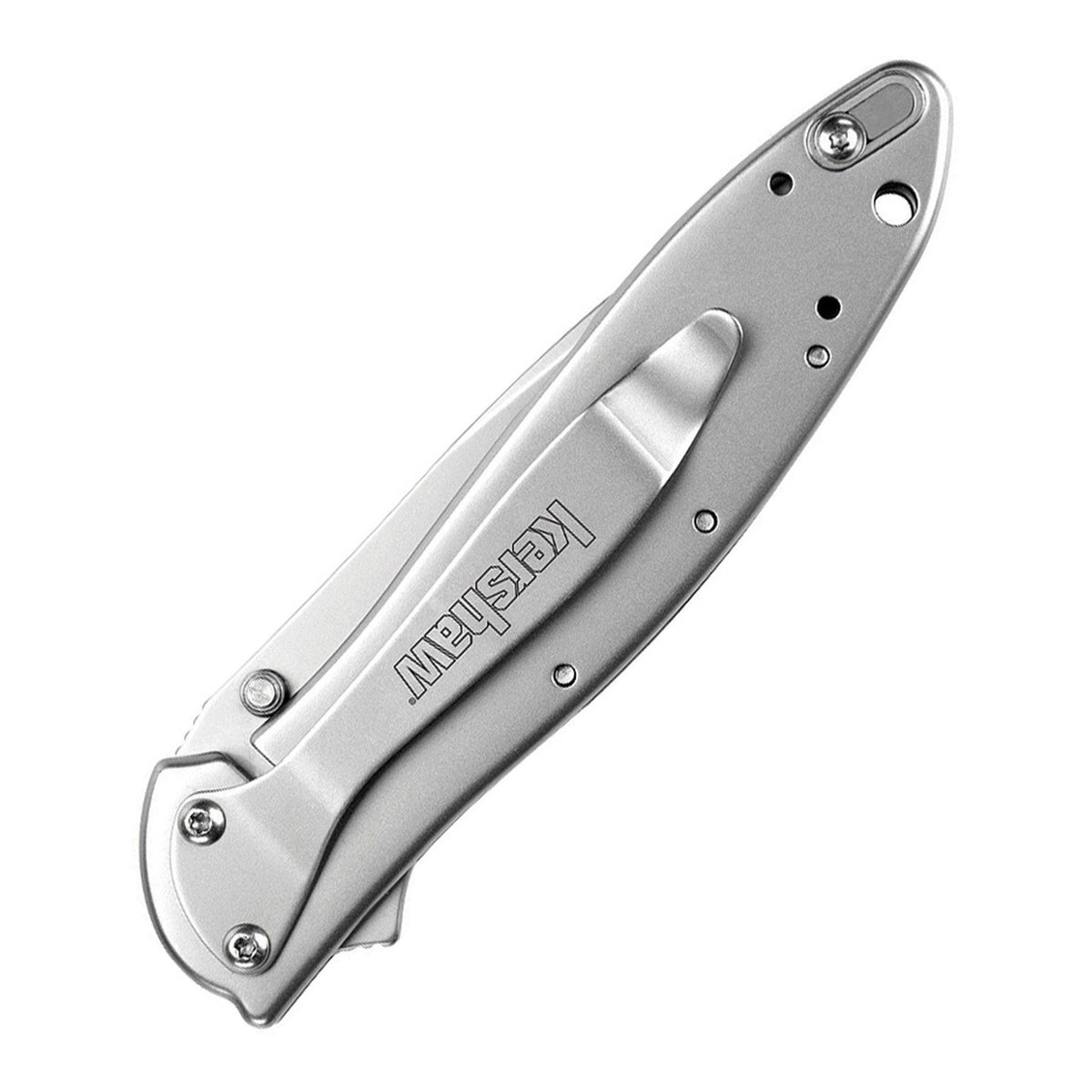 Kershaw Leek 14C28N Assisted Folding Knife - product view 2